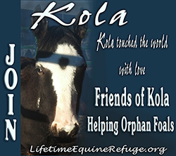 Join Friends of Kola