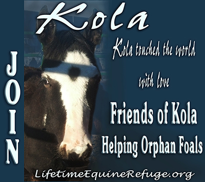 Friends of Kola