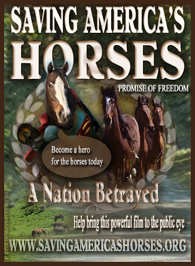 Saving America's Horses Hero for Horses BNR