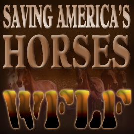 WFLF-SAH logo